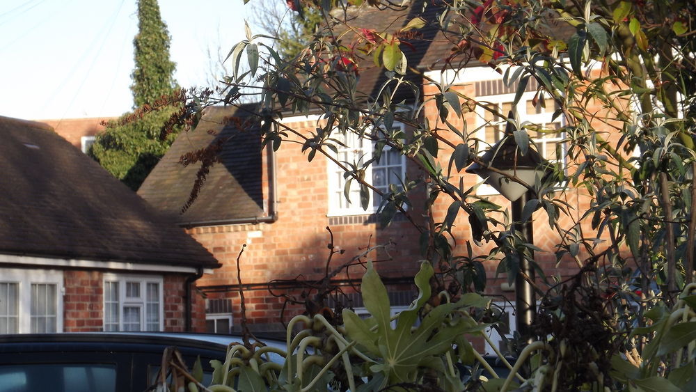 The Peacock Townhouse Hotel Kenilworth - Warwick المظهر الخارجي الصورة